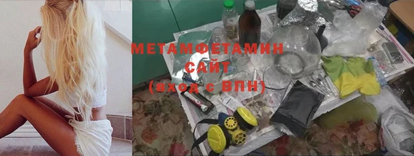 прущие грибы Няндома