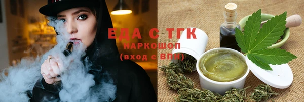 тгк Новозыбков