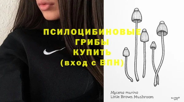 стаф Новодвинск