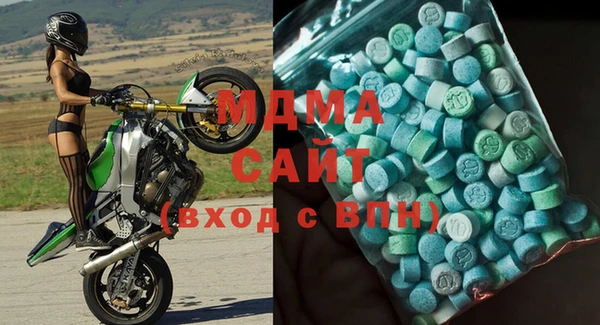 прущие грибы Няндома
