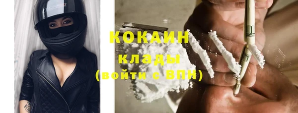 стаф Новодвинск