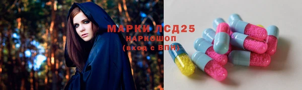 тгк Новозыбков