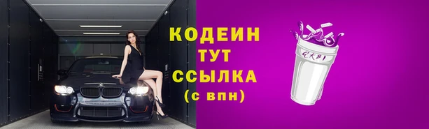 стаф Новодвинск