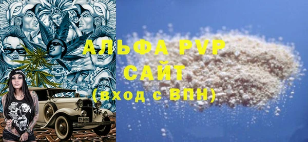 стаф Новодвинск