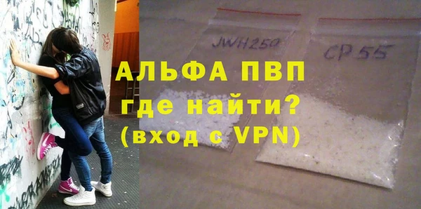 тгк Новозыбков