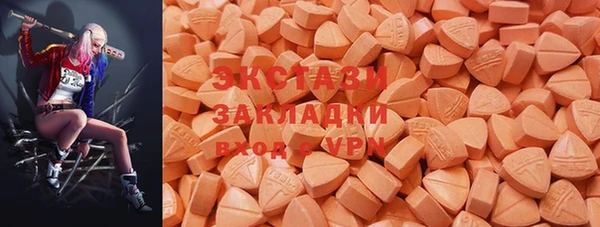 стаф Новодвинск