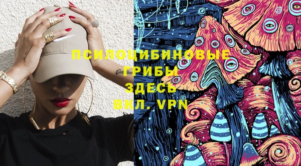 стаф Новодвинск
