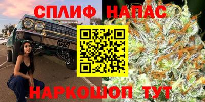 амф Краснознаменск