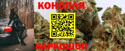 шишки Абинск