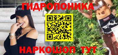 шишки Абинск