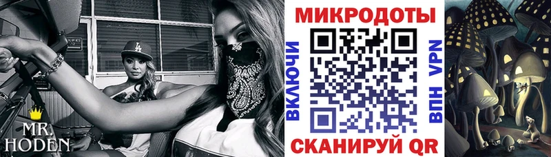 Псилоцибиновые грибы мухоморы  где купить наркоту  Алушта 