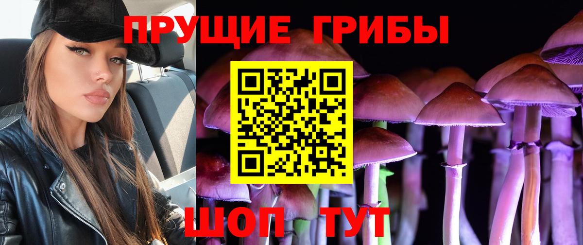 цены наркотик  Псилоцибиновые грибы мицелий  Вход с VPN  Алушта 