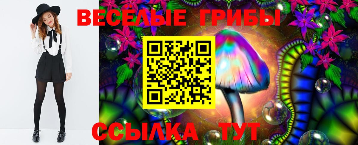 Псилоцибиновые грибы ЛСД  Псилоцибиновые грибы прущие грибы  Алушта  Вход с VPN 